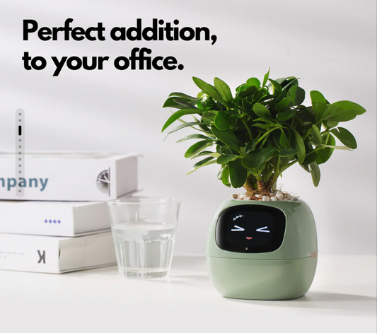 IVY smart plant buddy AI